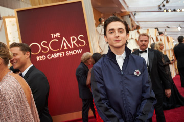 Timothée Chalamet - 92nd Annual Academy Awards in Hollywood 02/09/2020 фото №1339967