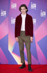 Timothée Chalamet - 'Call Me by Your Name' Photocall at 61st BFI LFF 10/09/2017 фото №1329300
