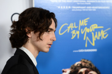 Timothée Chalamet - 'Call Me by Your Name' Premiere at AFI Fest in LA 11/10/2017 фото №1342616