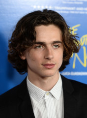 Timothée Chalamet - 'Call Me by Your Name' Premiere at AFI Fest in LA 11/10/2017 фото №1342624