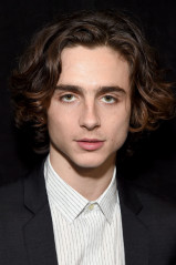 Timothée Chalamet - 'Call Me by Your Name' Premiere at AFI Fest in LA 11/10/2017 фото №1342622