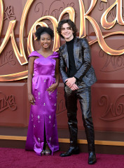 Timothée Chalamet - 'Wonka' Los Angeles Premiere 12/10/2023 фото №1382999