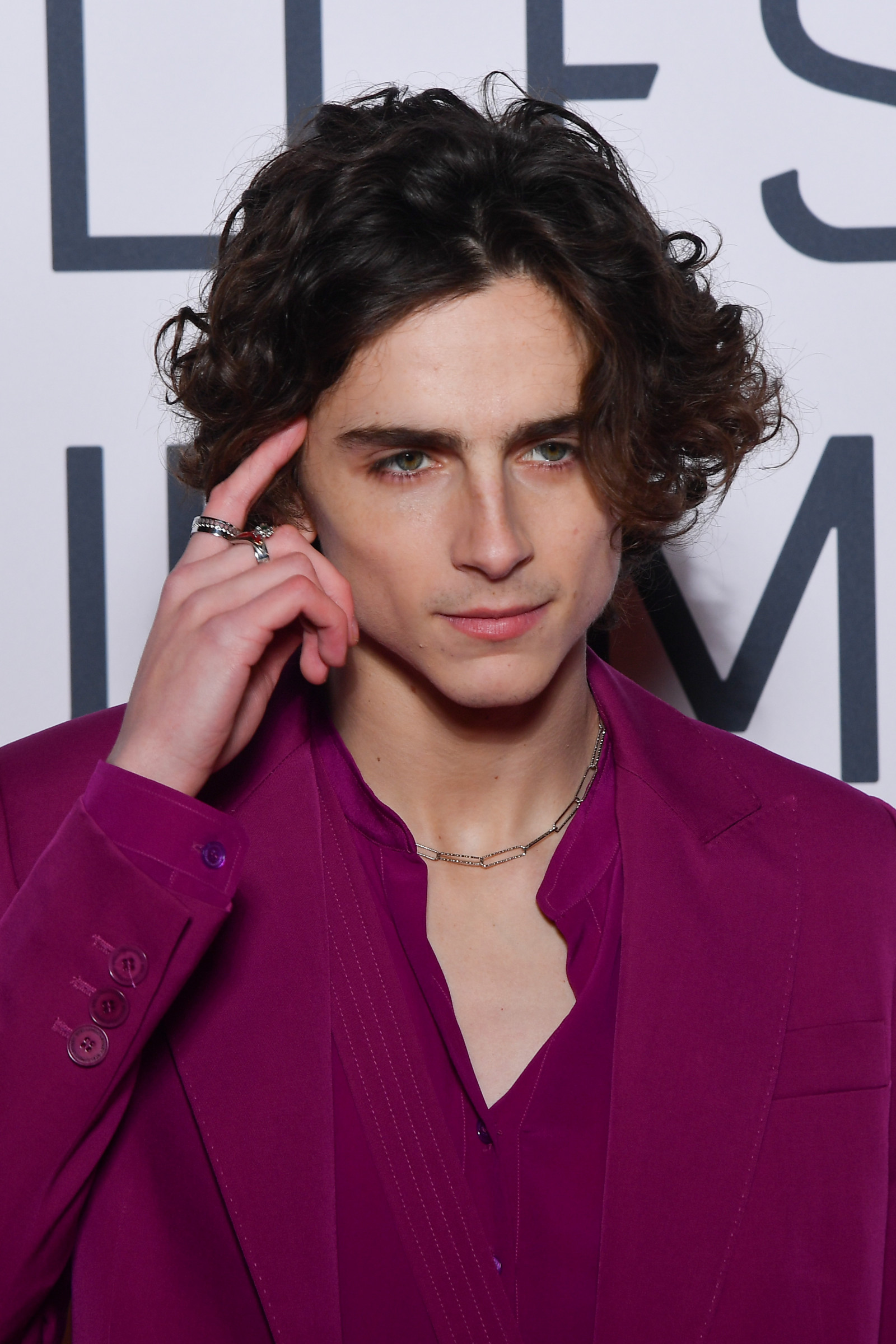 Тимоти Чаламет (Timothee Chalamet)