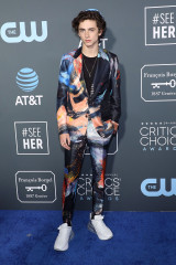 Timothée Chalamet - 24th Annual Critics' Choice Awards in Santa Monica 01/13/19 фото №1321509