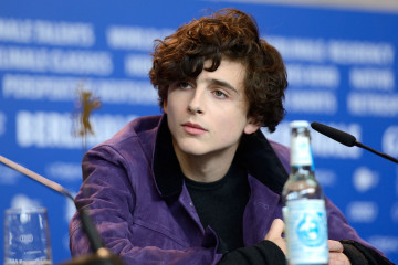 Timothée Chalamet -'Call Me by Your Name' Press Conference at 67th BIFF 02/13/17 фото №1373522