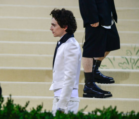 Timothée Chalamet - Met Gala in New York 09/13/2021 фото №1373831