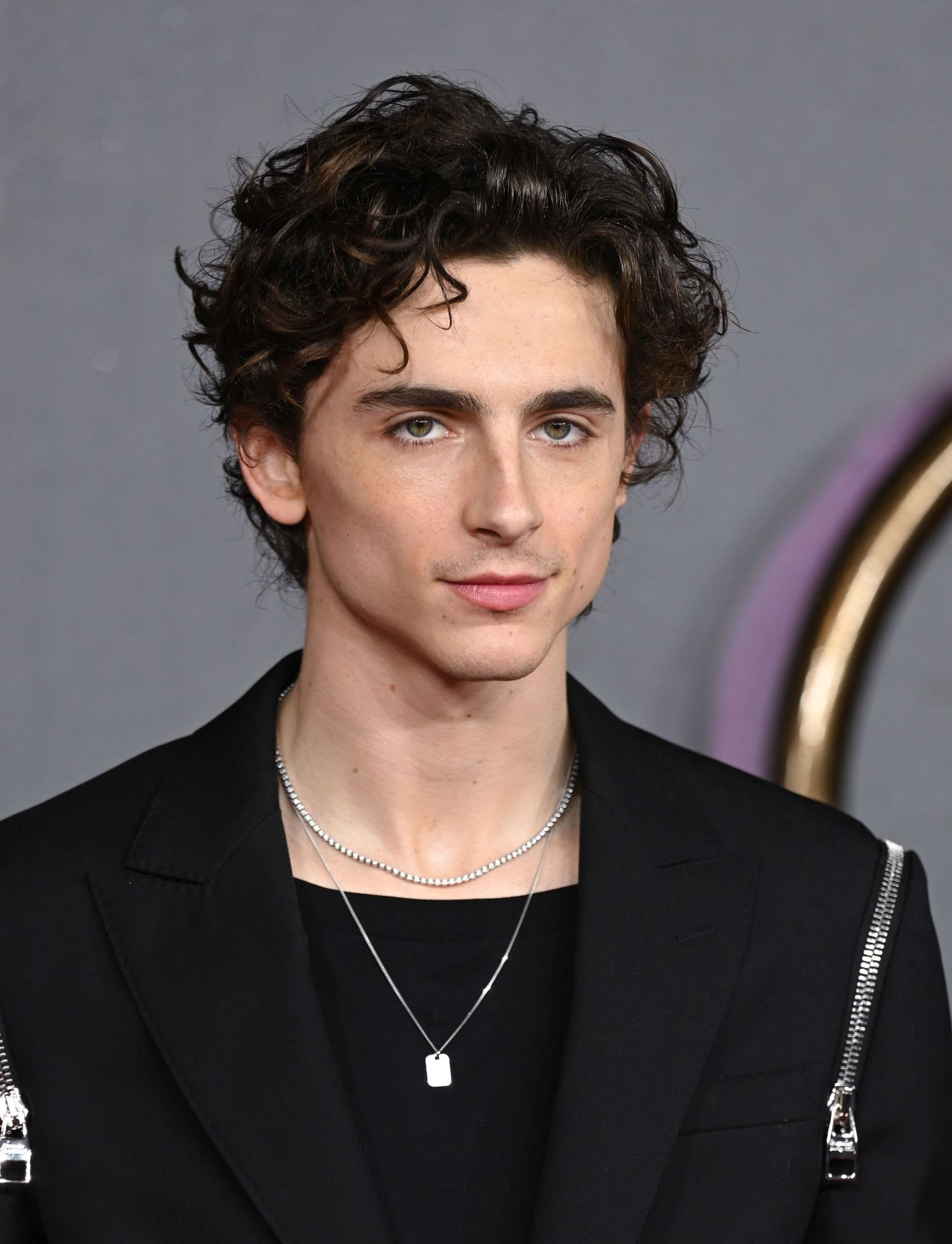 Тимоти Чаламет (Timothee Chalamet)