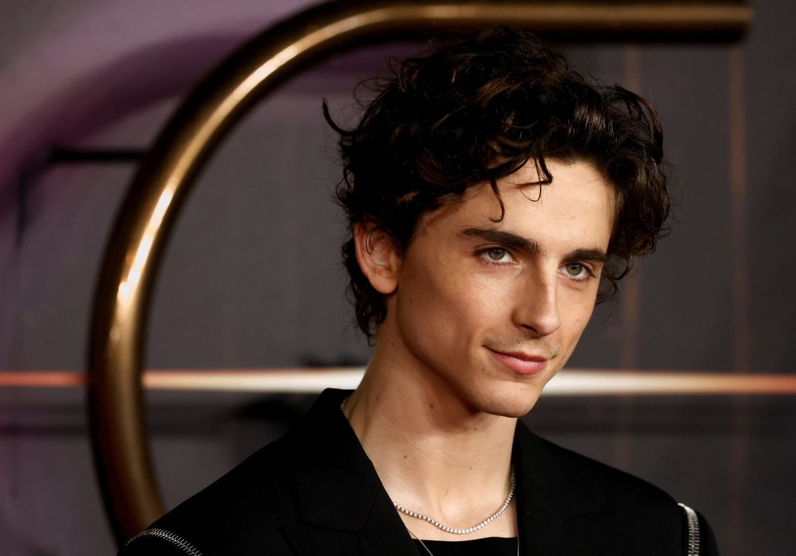 Тимоти Чаламет (Timothee Chalamet)