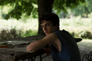 Timothée Chalamet - Call Me by Your Name (2017) фото №1344097