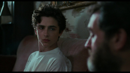 Timothée Chalamet - Call Me by Your Name (2017) фото №1376173