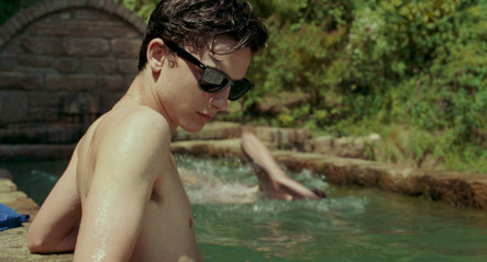 Timothée Chalamet - Call Me by Your Name (2017) фото №1368114