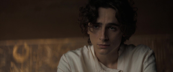 Timothée Chalamet - Dune: Part One (2021) фото №1361839