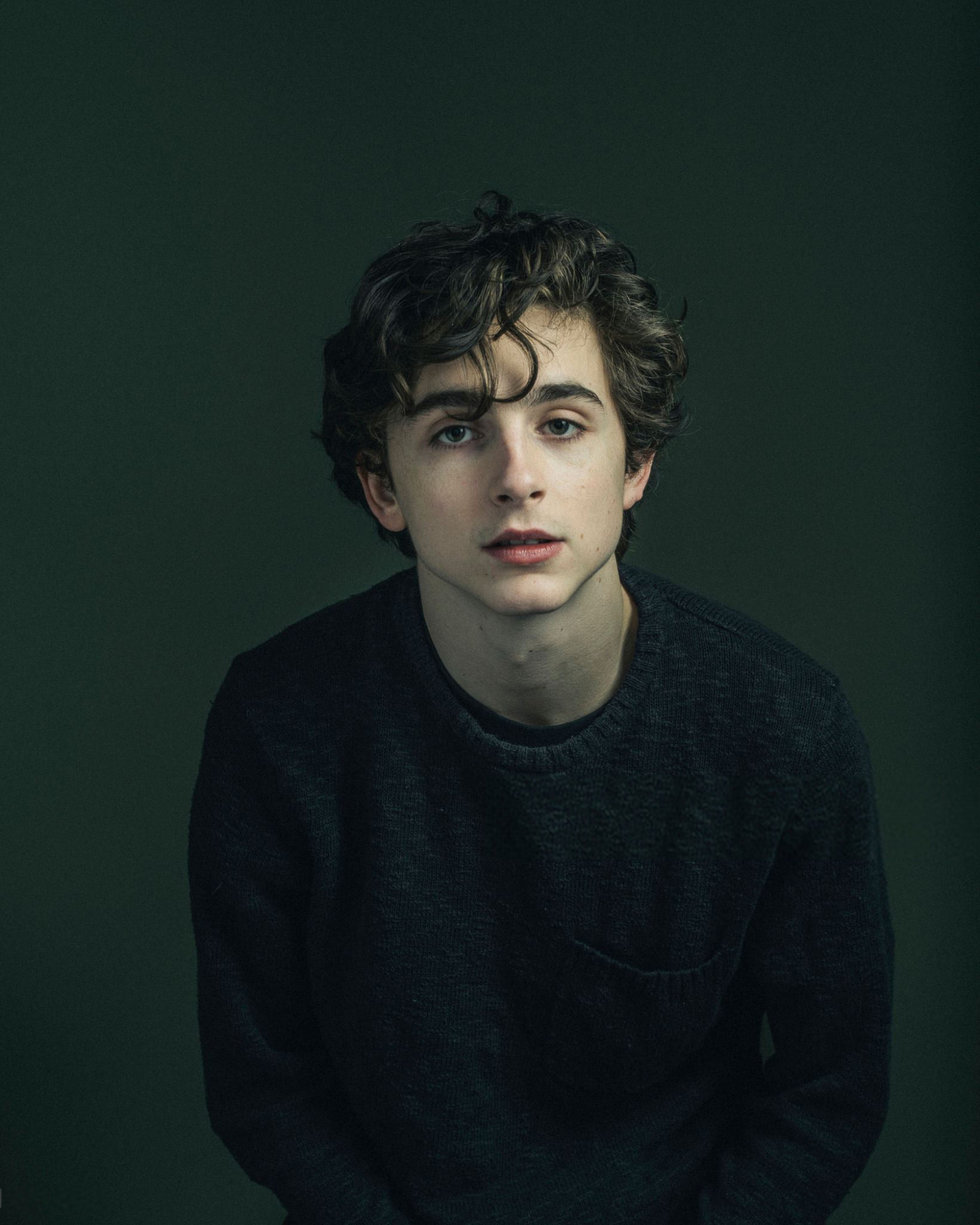 Тимоти Чаламет (Timothee Chalamet)