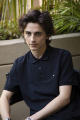 Timothée Chalamet - 'The King' Press Conference in Beverly Hills 10/26/2019 фото №1345928