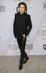 Timothée Chalamet - 25th Annual SAG Awards in Los Angeles 01/27/2019 фото №1352486