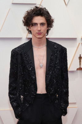 Timothée Chalamet - 94th Annual Academy Awards in Hollywood 03/27/2022 фото №1375362
