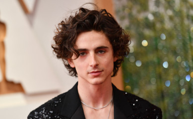 Timothée Chalamet - 94th Annual Academy Awards in Hollywood 03/27/2022 фото №1343194
