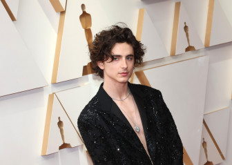 Timothée Chalamet - 94th Annual Academy Awards in Hollywood 03/27/2022 фото №1343197