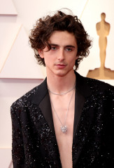 Timothée Chalamet - 94th Annual Academy Awards in Hollywood 03/27/2022 фото №1345941