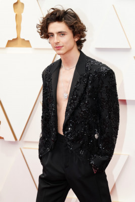 Timothée Chalamet - 94th Annual Academy Awards in Hollywood 03/27/2022 фото №1352073