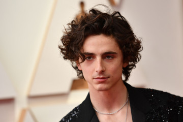 Timothée Chalamet - 94th Annual Academy Awards in Hollywood 03/27/2022 фото №1356116