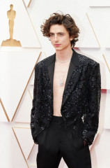 Timothée Chalamet - 94th Annual Academy Awards in Hollywood 03/27/2022 фото №1359732