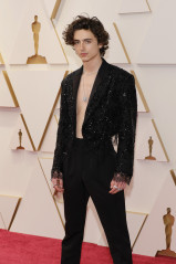 Timothée Chalamet - 94th Annual Academy Awards in Hollywood 03/27/2022 фото №1340816
