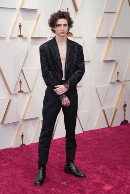 Timothée Chalamet - 94th Annual Academy Awards in Hollywood 03/27/2022 фото №1361334