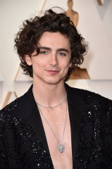 Timothée Chalamet - 94th Annual Academy Awards in Hollywood 03/27/2022 фото №1370549