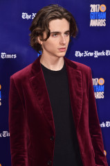 Timothée Chalamet - IFP's 27th Gotham Independent Film Awards in NY 11/27/2017 фото №1368070
