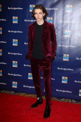 Timothée Chalamet - IFP's 27th Gotham Independent Film Awards in NY 11/27/2017 фото №1368072