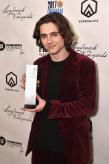 Timothée Chalamet - IFP's 27th Gotham Independent Film Awards in NY 11/27/2017 фото №1368071