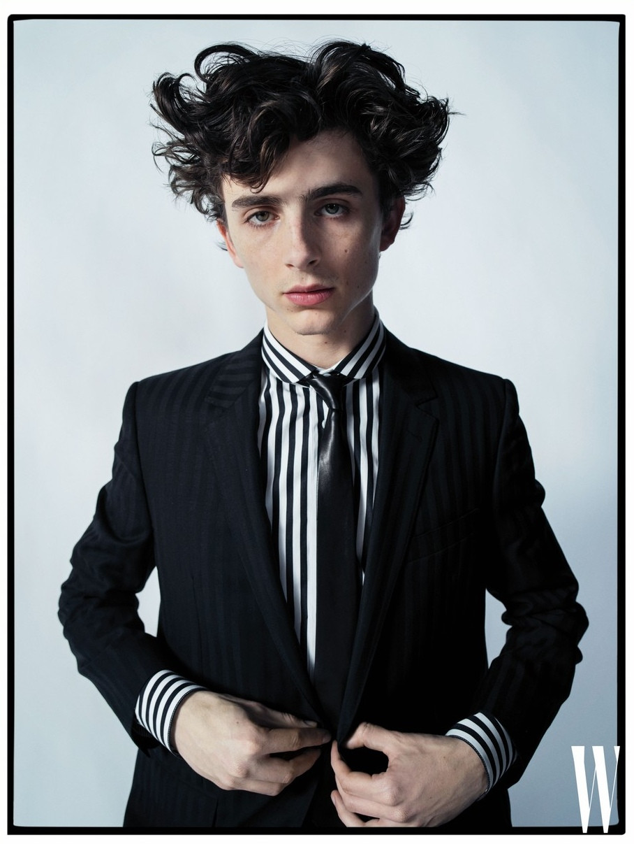 Тимоти Чаламет (Timothee Chalamet)