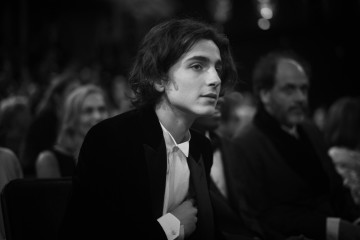 Timothee Chalamet фото №1082087