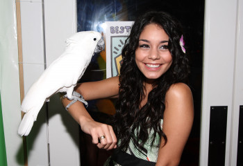 Vanessa Hudgens фото №85500