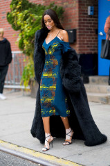 Winnie Harlow – Out in New York City фото №1113129