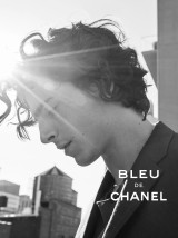 Timothee Chalamet