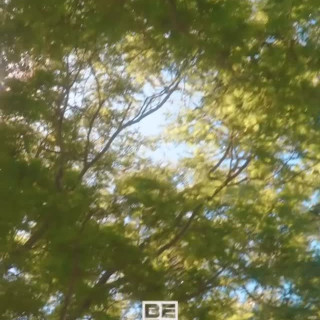 Jamie Foxx инстаграм фото