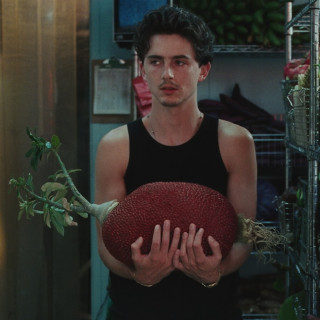 Timothee Chalamet инстаграм фото