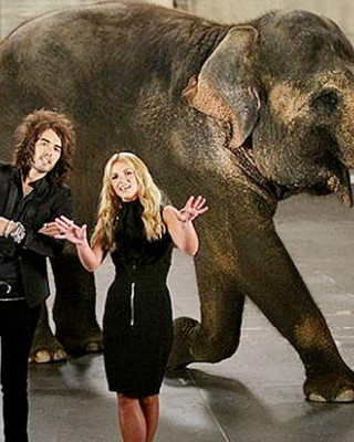 Фото 1374 к новости Бритни Спирс со слоном рекламируют церемонию MTV Video Music Awards