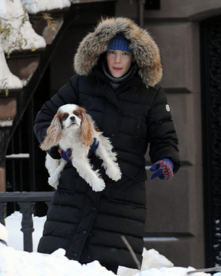 Фото 13088 к новости Лив Тайлер с сыном и собакой на прогулке