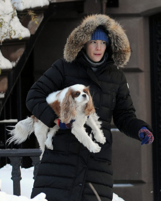 Фото 13089 к новости Лив Тайлер с сыном и собакой на прогулке