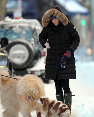 Фото 13090 к новости Лив Тайлер с сыном и собакой на прогулке
