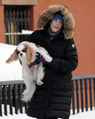 Фото 13091 к новости Лив Тайлер с сыном и собакой на прогулке