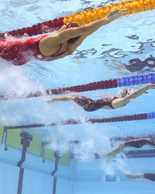 Фото 71080 к новости Российские пловцы завоевали 30 медалей