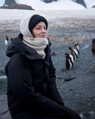 Фото 71565 к новости Марион Котийяр в гостях у пингвинов