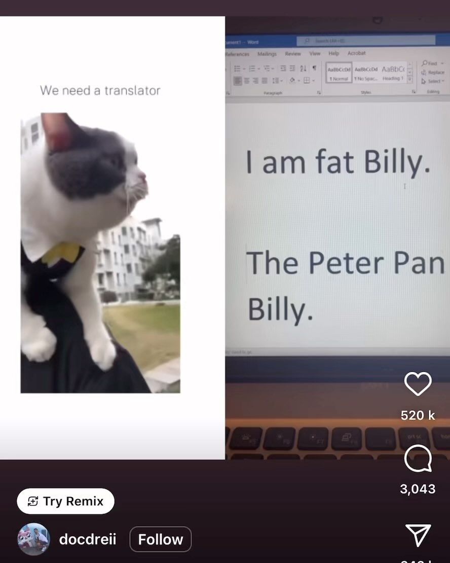 I am also fat Billy, the Peter Pan Billy. Which is why I understood this immediately