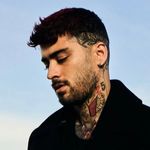 Zayn Malik Instagram Icon